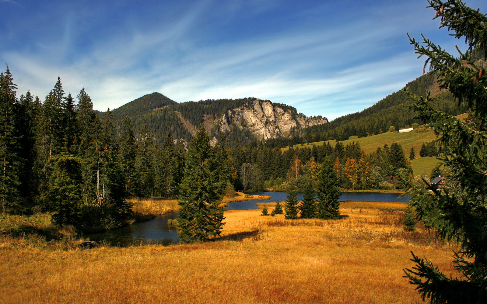 莱比锡诚意十足,科隆防线如何抵御?,科隆与莱比锡