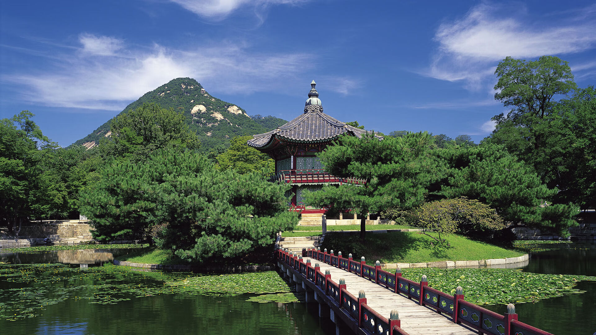 门兴格拉德巴赫新星闪耀赛场，门兴格拉德巴赫欧冠