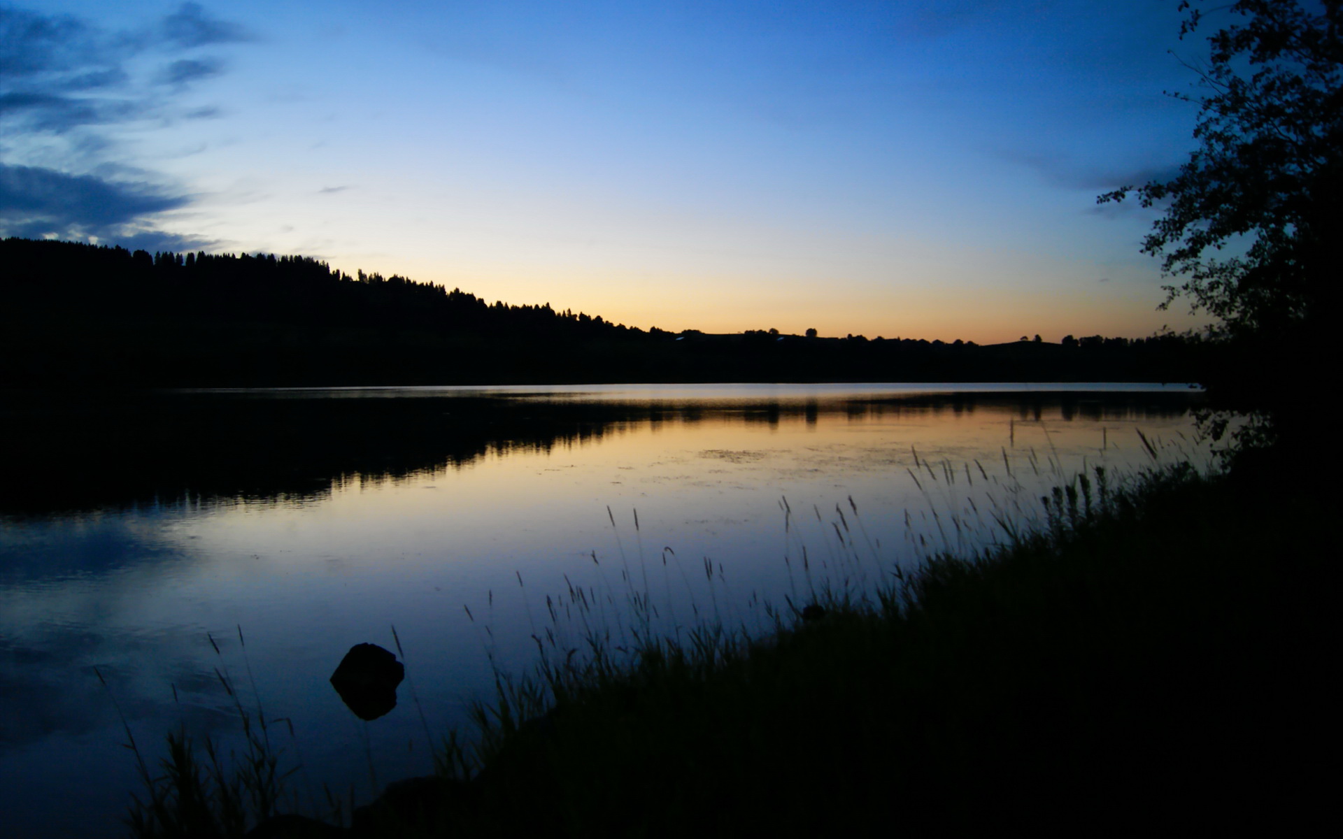 中国篮球教练员职业发展路径优化及培训体系,篮球教练发展空间