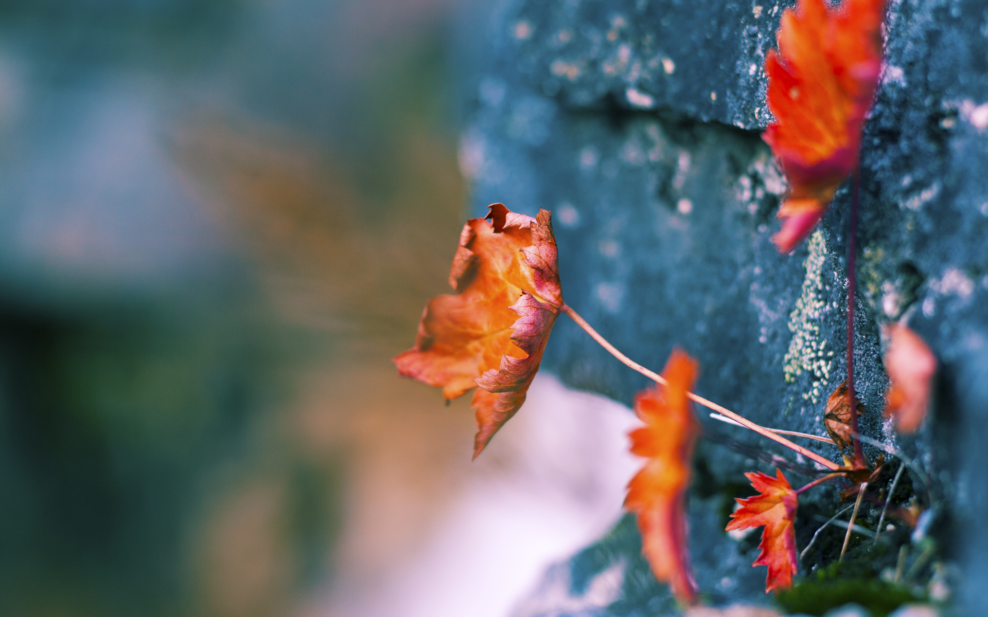 中国男篮防守强度亟需恢复曾经硬度,中国男篮防守悍将