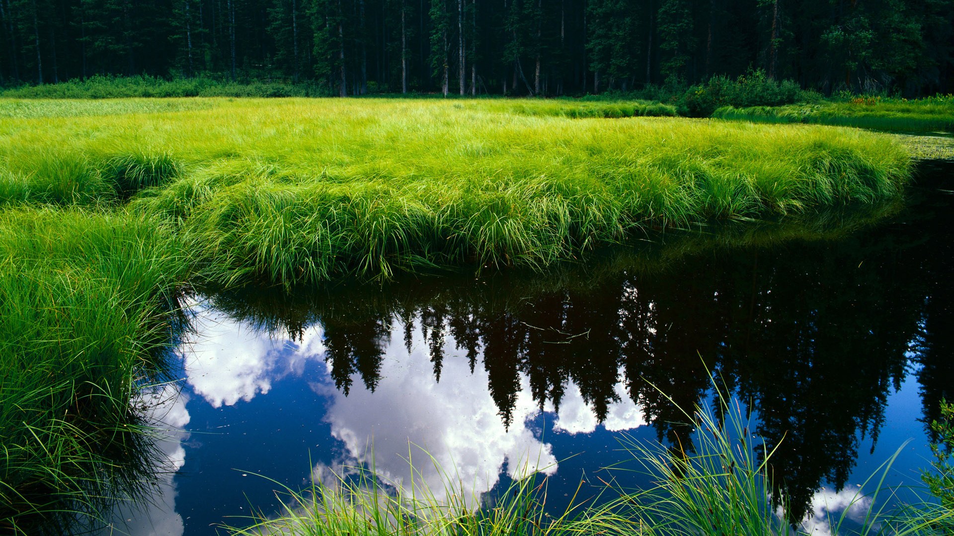 开云体育下载网址-中国香港队未来发展路径：如何利用国际赛事突破技术瓶颈，足球香港队
