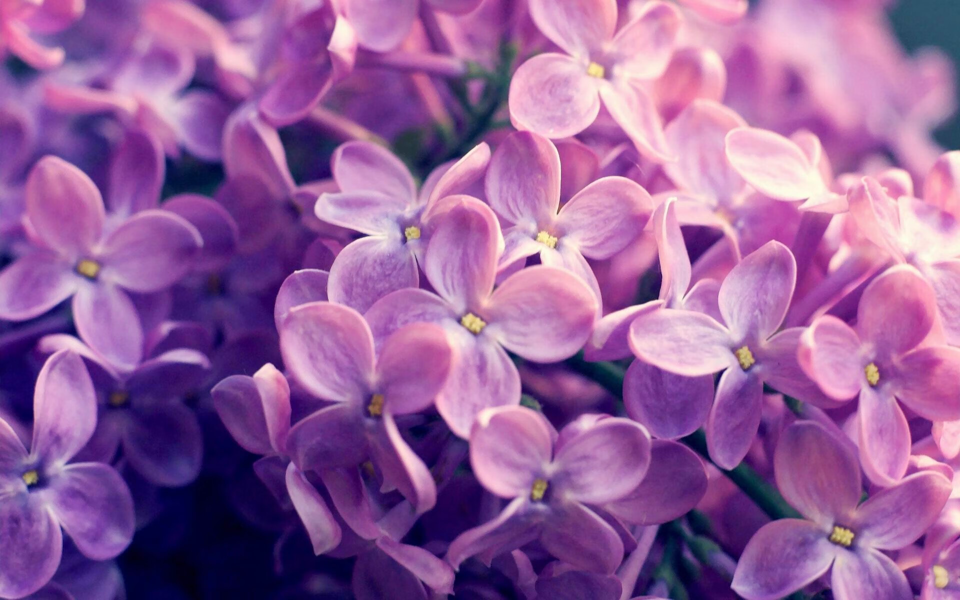 观众互动体验感提升粉丝互动体验提升,观众互动道具