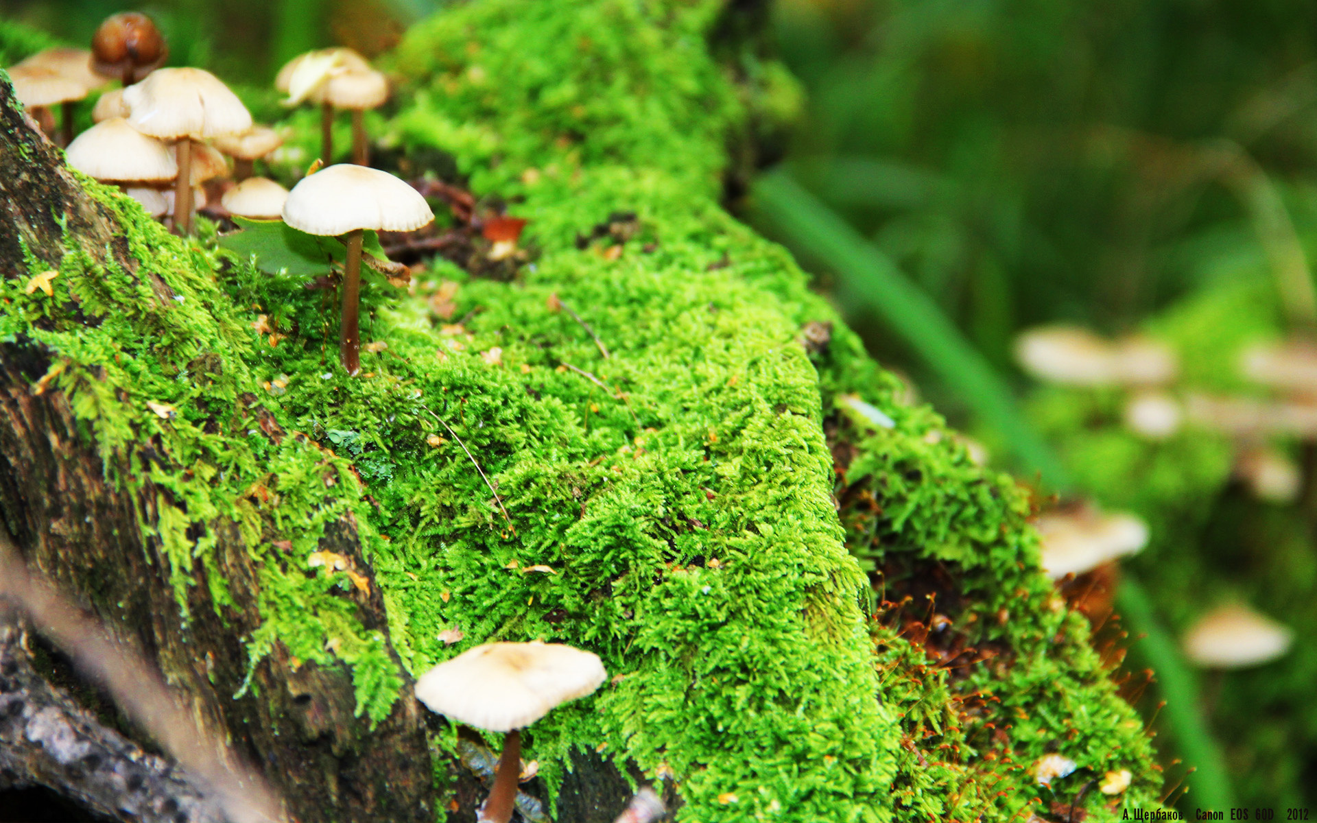 国家队引入高原训练营提高身体适应极端环境能力，国家高原体育训练基地