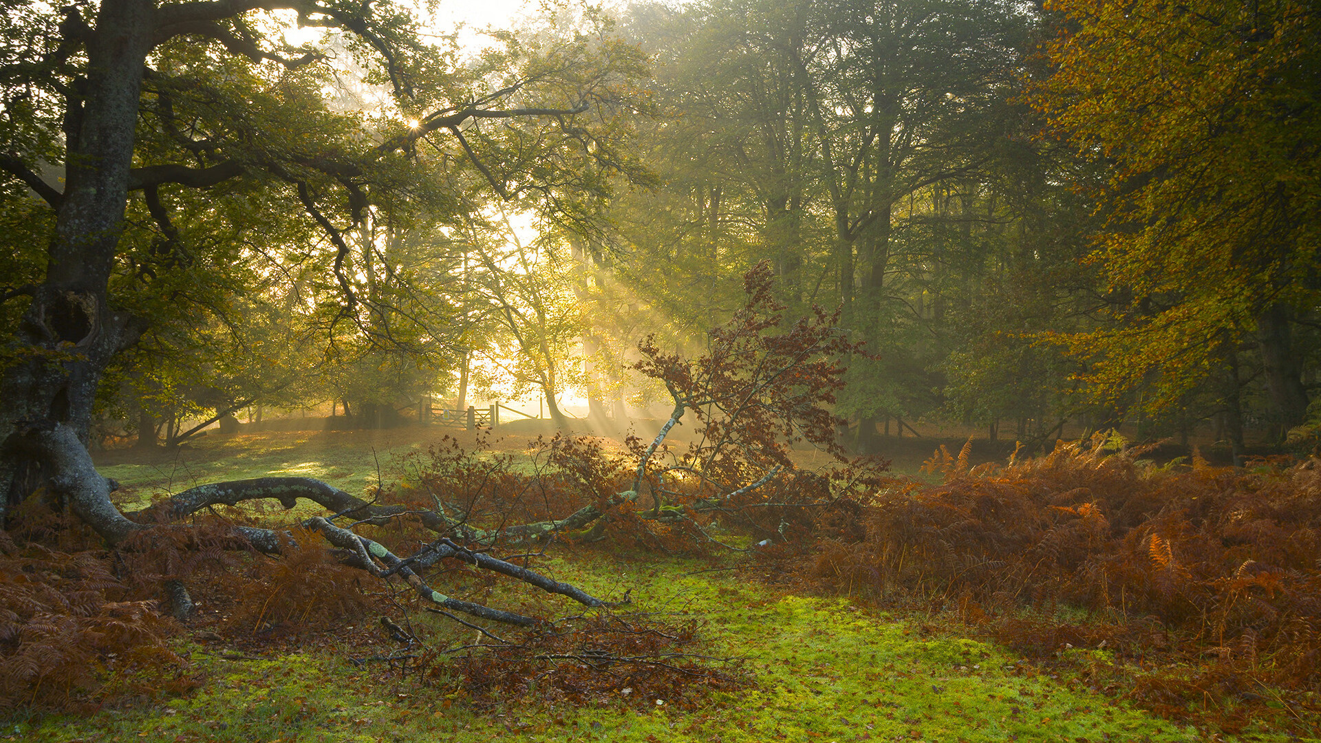 开云体育app安全下载-国际足球界联合推动全民参赛运动，提升运动普及率，国际足球联合会竞赛规则
