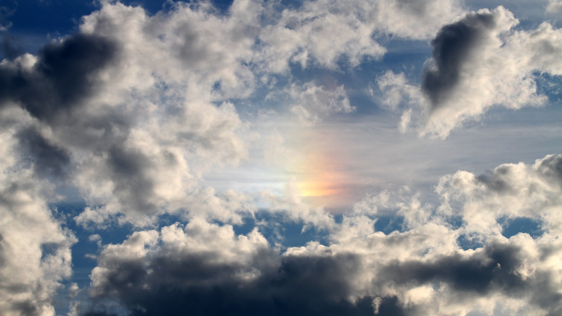 开云下载-帕特森引领袋鼠队形成致命反击，成为战术核心，帕特森拳击